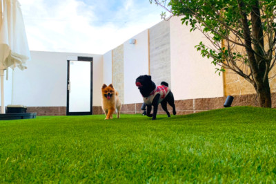 【岐阜県】グランドアートウォール施工事例 更新