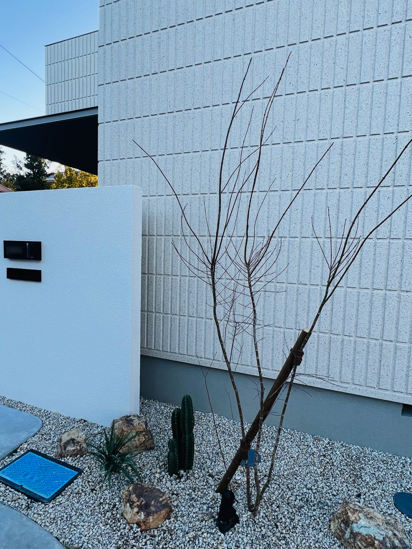 静岡県 Exterior & Garden K.T.U グランドアートウォール施工イメージ11096_05