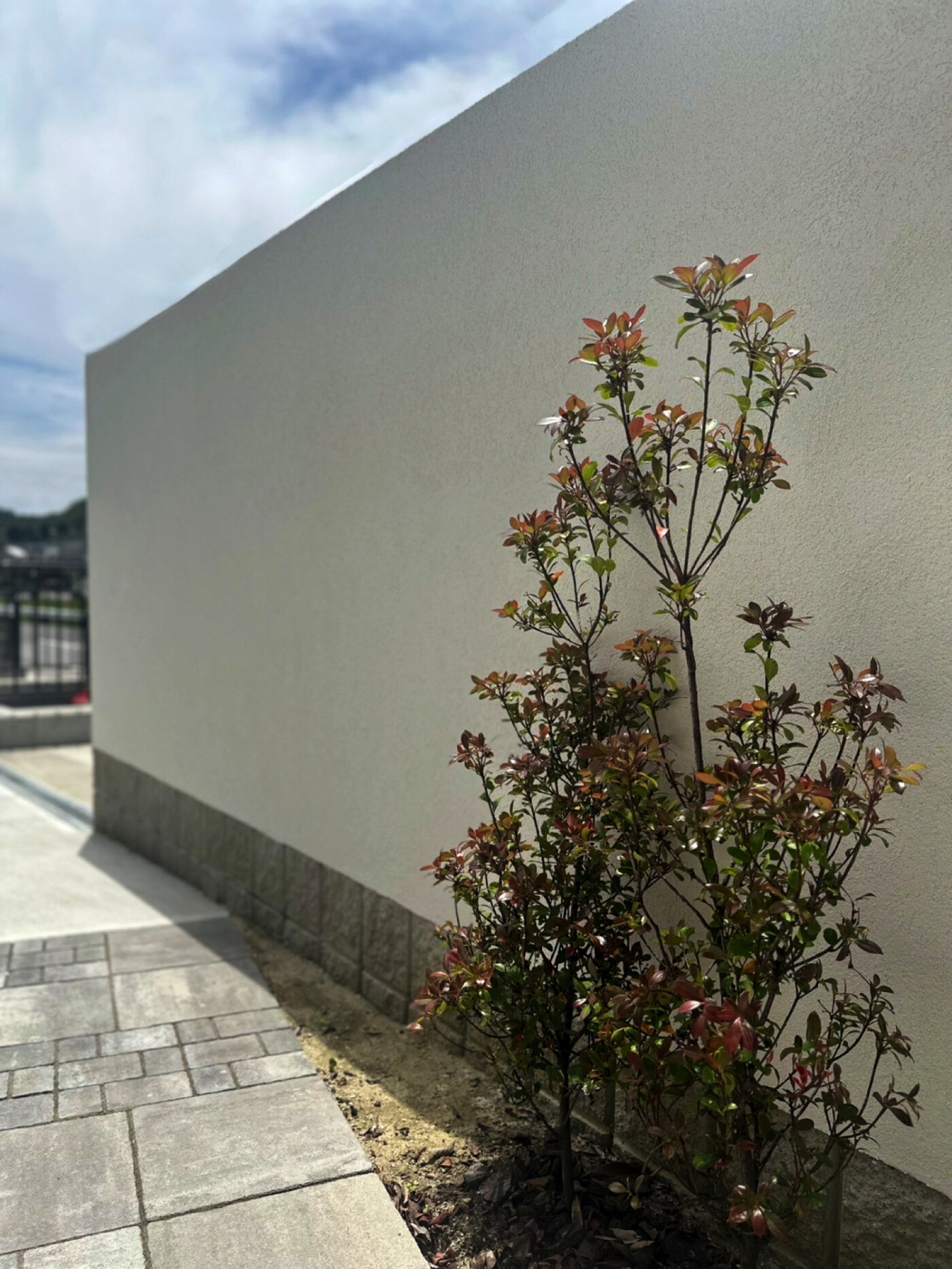 京都府 株式会社 YAMAMOTO グランドアートウォール施工イメージ17475_03